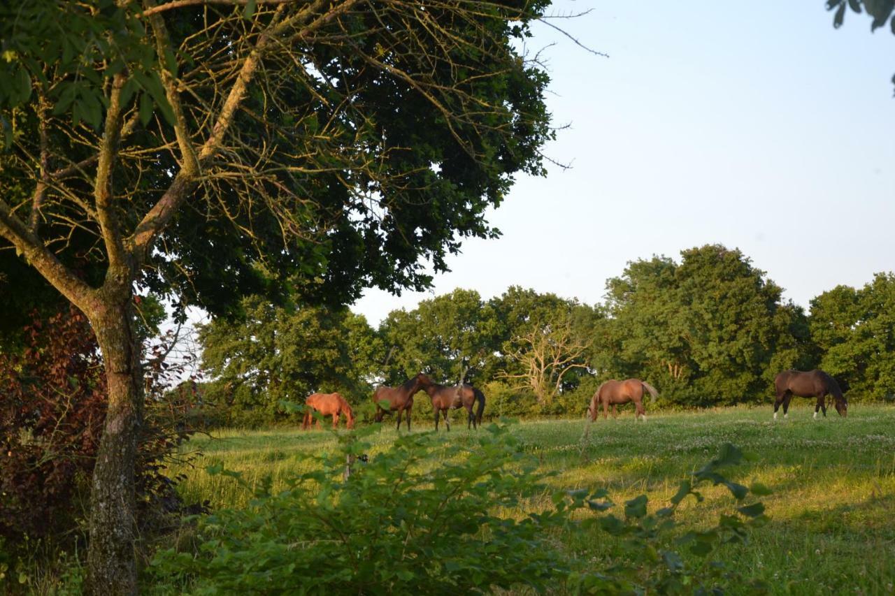 Gite Au Haras Les Aubiers Εξωτερικό φωτογραφία